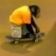 Whole Lotta Flows (prod. ChimpStax)