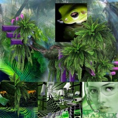 travel ✈☆br4inr0t43akaCK3☆x☆euum wheel☆♰♰