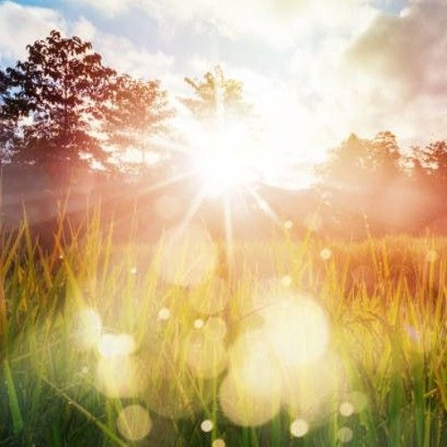 SUNLIGHT SHOWER-MIX by Tiefenliebe aka DJMØK 16072023 FREE DL