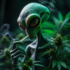 Alien OG