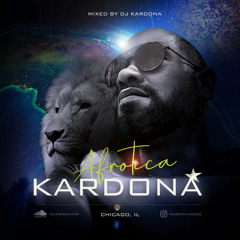 AFROTECA 2