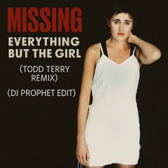 Everything But The Girl - Missing (Todd Terry Remix) (DJ Prophet Edit)