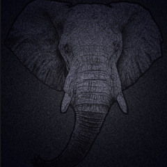 elephant (prod. H3 music)