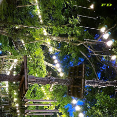 When She Walks Into The Stars