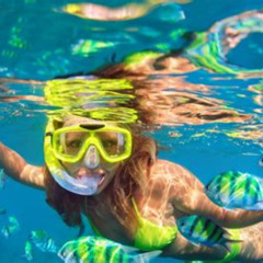 Review Special Price 3-Hour Snorkel Cruise With Lunch From South Padre Island