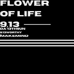 Flower Of Life 9.13 Da13thsun