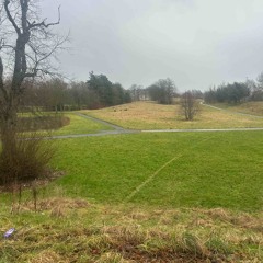 Armageddon on the streets 2026