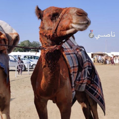 ‎⁨أسعد البطحري -  | والزمط شروا شفرة السيف )⁩