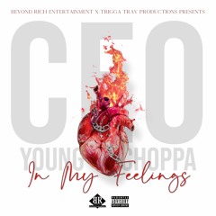 In My Feelings (Prod. Trigga Trav Productions)