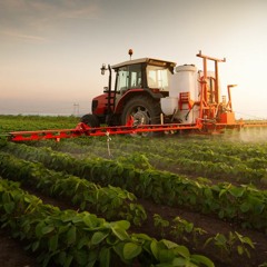 The Torch Of Progress - Ep. 14 ft. Manjari Narayan