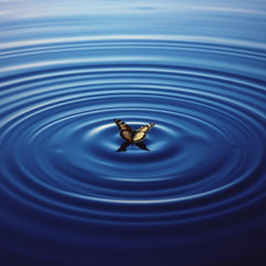 Ripple Effect (feat. 8 year old daughters piano riff)