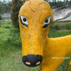 YEU THUONG NHAU GI DAU-Du Thiên