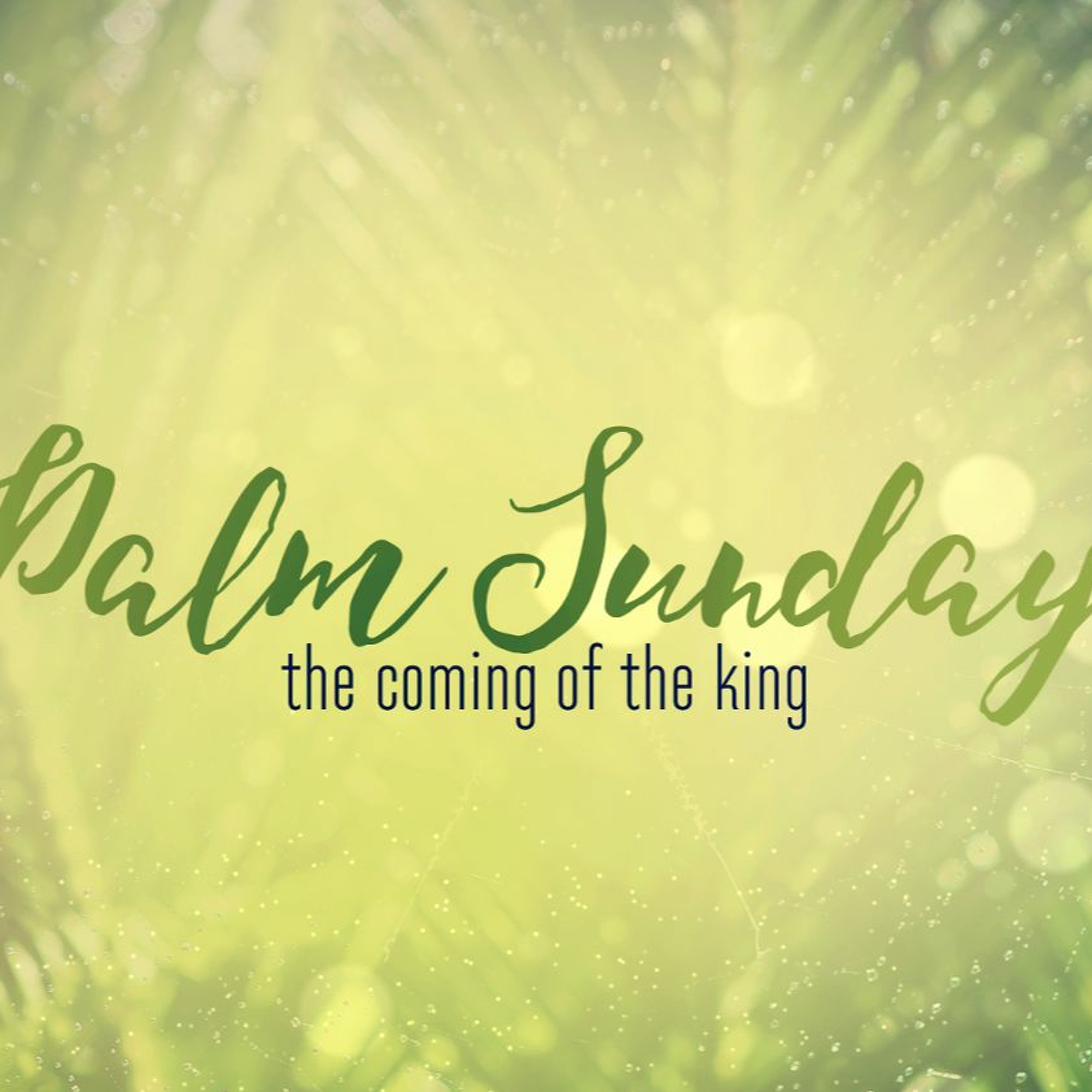 All Shores Wesleyan Church Sunday Sermons