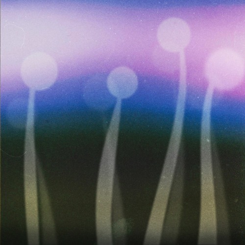 Skydrips - All Einheit