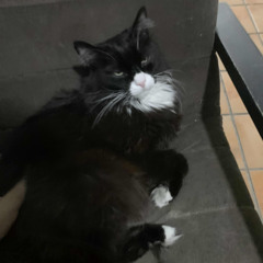 LEIAFOX/BLOCKHEAD2009 @ GAY JAZZ 18: "THE ED BANGER TO HYPERFLIP PIPELINE"