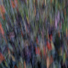 PREMIERE : Sufletesc - Slow Circuit (z^k Remix) [arboretum.]