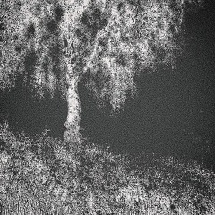 Tristis Odyssea De Angelis Lapsis