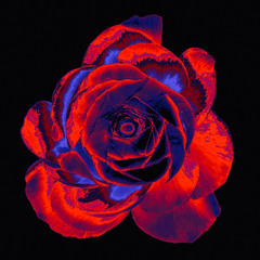 Cyndi Lauper - Time After Time (House Remix)