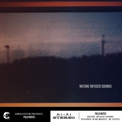 Field Notes - Calm Before B Minor