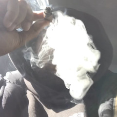Wtm Re - Fresh From The O