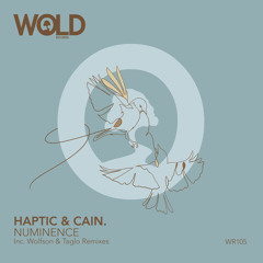 PREMIERE: Haptic & CAIN. - Numinence (Wolfson Remix)