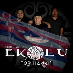 We Are Hawaii's Finest