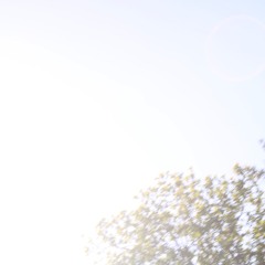 Zombie (Chinatown) *snippet*