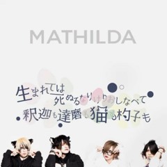 マチルダ (MATHILDA) — 生まれては死ぬるなりけりおしなべて 釈迦も達磨も猫も杓子も