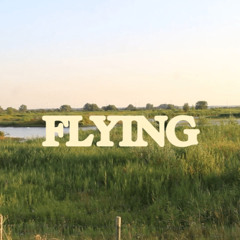 Flying