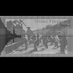Tribal Frequency    160 bpm [tekno] .wav