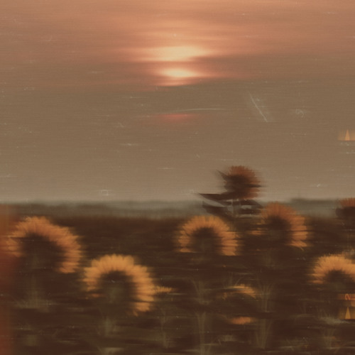 A W A K E