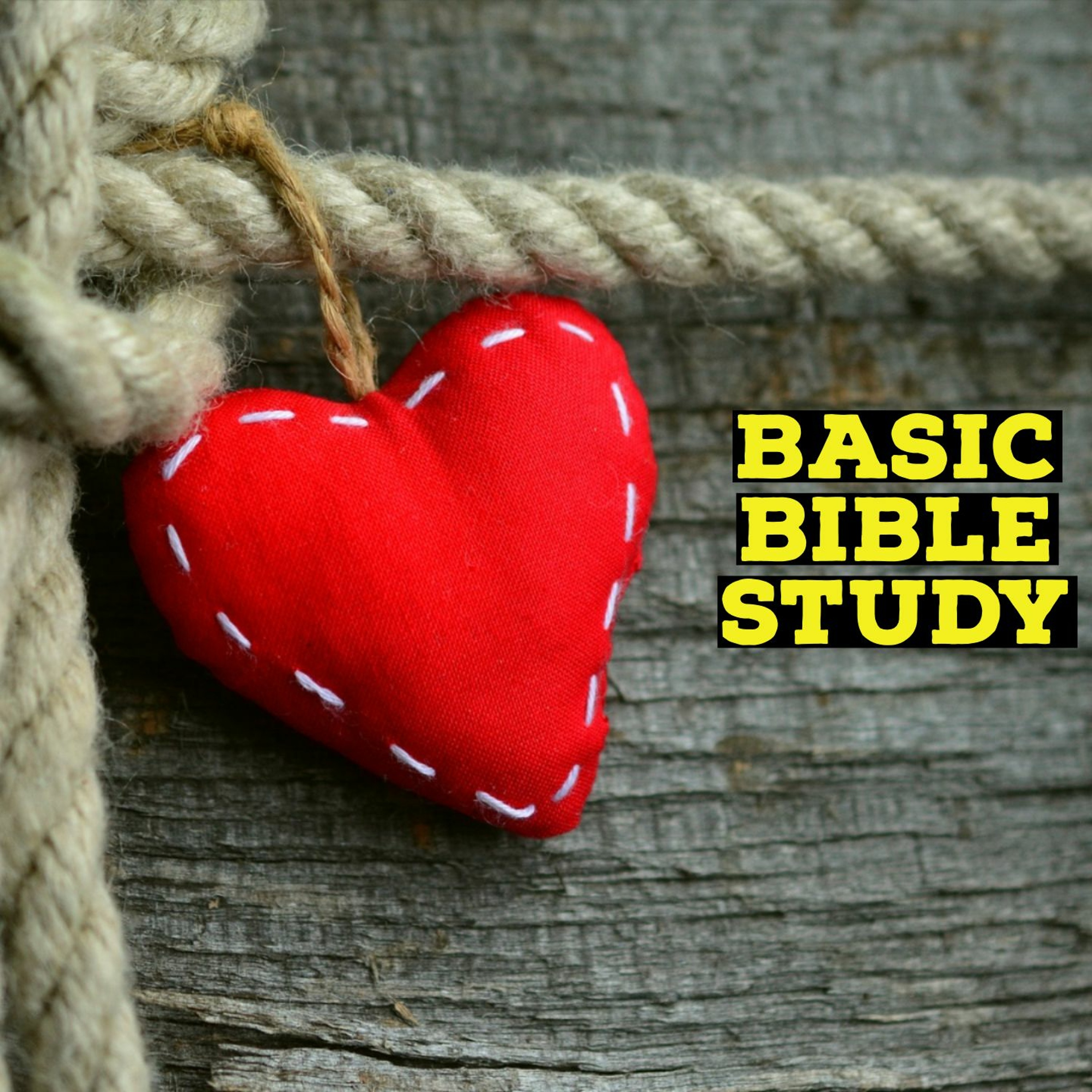 Basic Bible Study