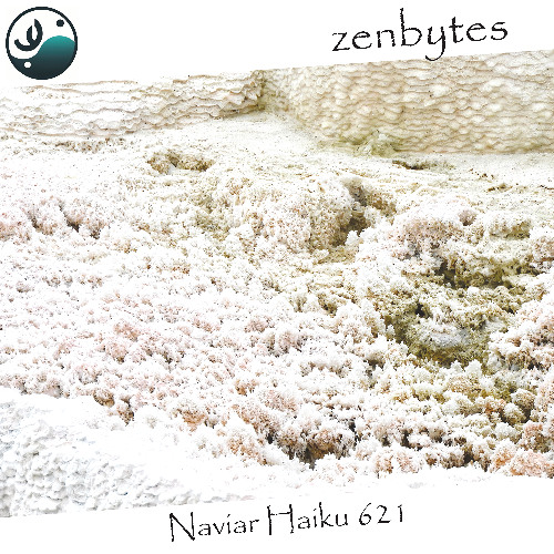 full white - Naviarhaiku621