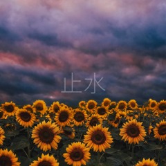 SHISUI - Feel A Way
