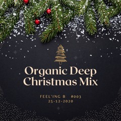 - ORGANIC DEEP CHRISTMAS MIX -#003 - (2020 - 12 - 25)-