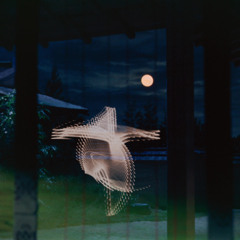 DOUBLE-O-THEATRE - 1er Janvier 2026