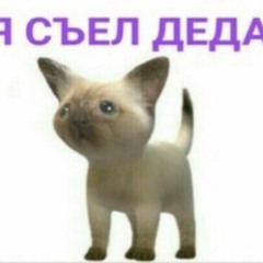 Курица, Сыр, Ананас (1Hours-Bass)Neatly with ears