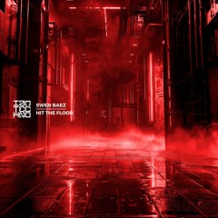 IAMTRED221: Swen Baez - Hit The Floor