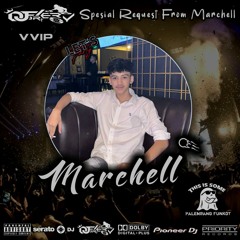 DJ FERY BRT DUGEM NERVOUSE PUMP SPESIAL REQUEST MARCHELL VIP HARDMIX FUNKOT 2K24