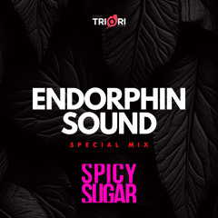 Spicy Sugar - Special Mix For ENDORPHIN SOUND