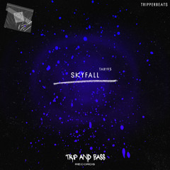 Skyfall - DnB