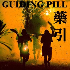 GUIDING PILL - Scott Noise