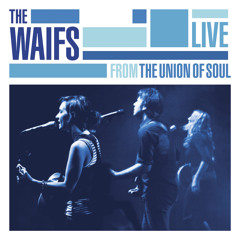 Sun Dirt Water (Live)