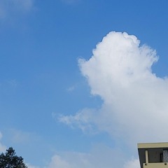 Thời Tiết (original)