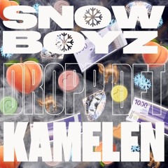 Snow Boyz & Kamelen - Dropp Det - Culo x BrvoBts