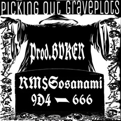 Picking Out Grave Plots(Prod.BVKER)