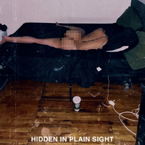 Hidden in Plain Sight (Feat. Conway the Machine & Styles P)