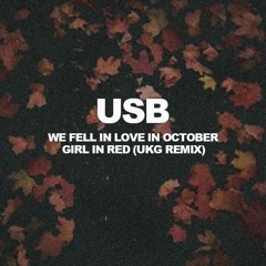 We fell in love in october - Girl in Red (USB UKG REMIX)