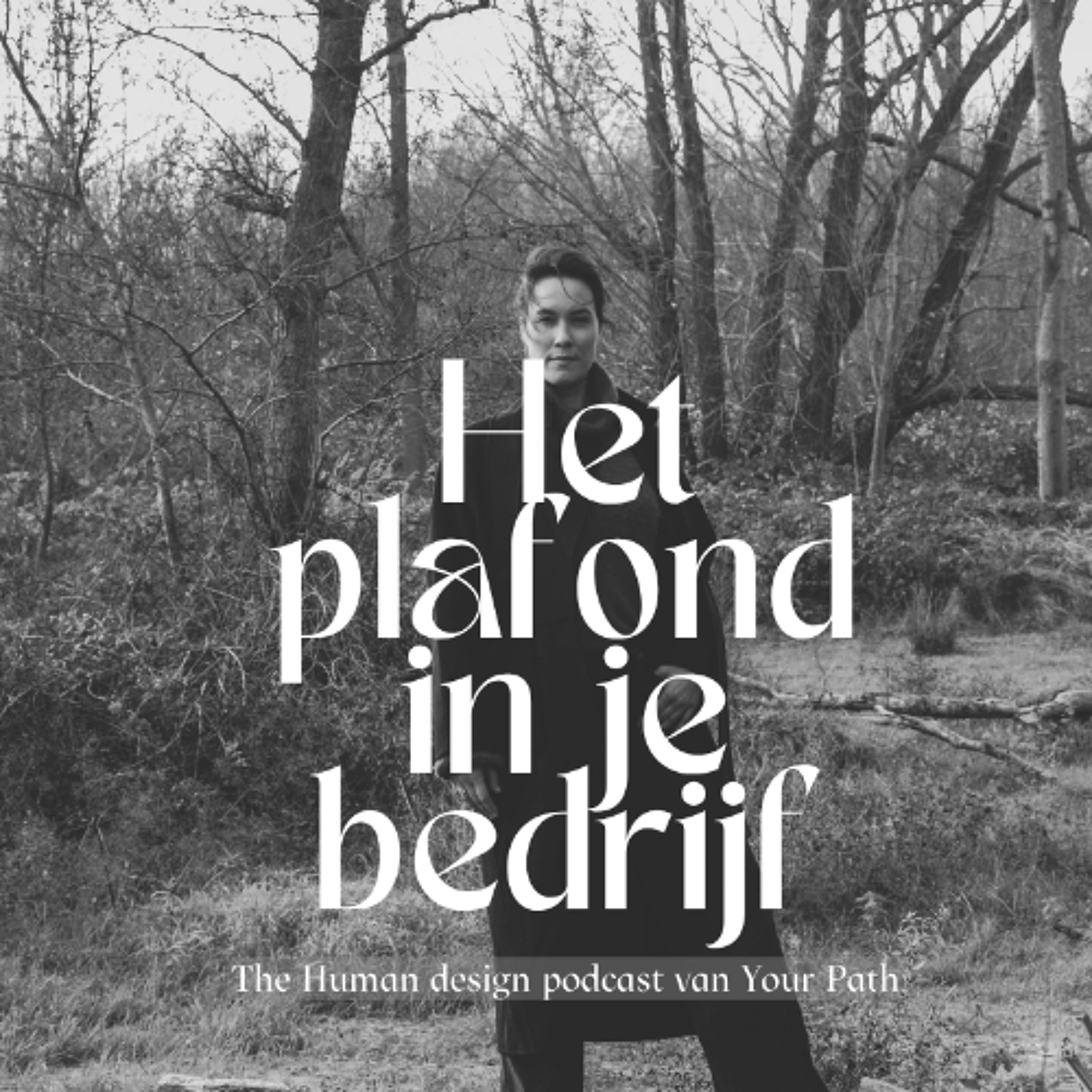 #65 Je bedrijf voelt als een plafond episode artwork