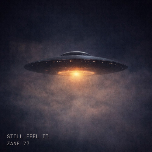 Stream Still Feel It (remix) by Zane 77 | Listen online for free on ...
